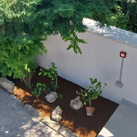 Casa Flavia *