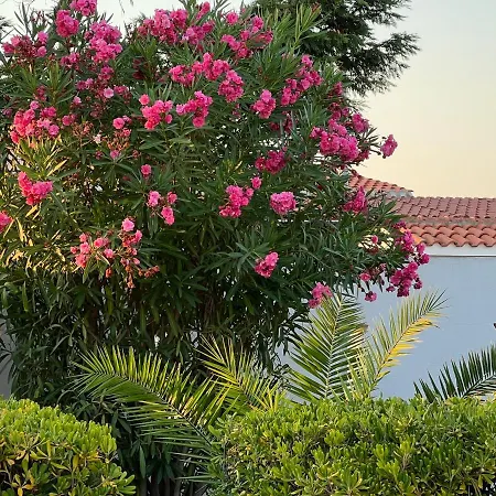 Casa Flavia Сasa de vacaciones