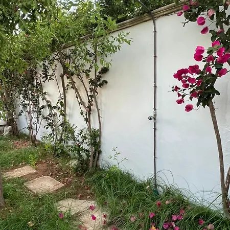 Casa Flavia * Torre Chianca